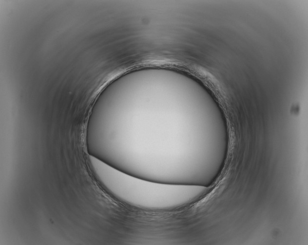 X0000091561361200708171052