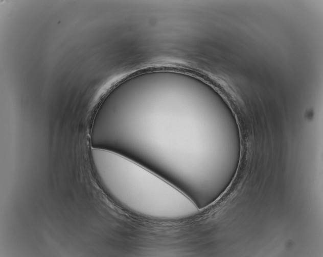 X0000091561363200708171052