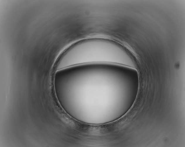 X0000091561364200708171052