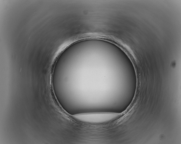 X0000091561365200708171052