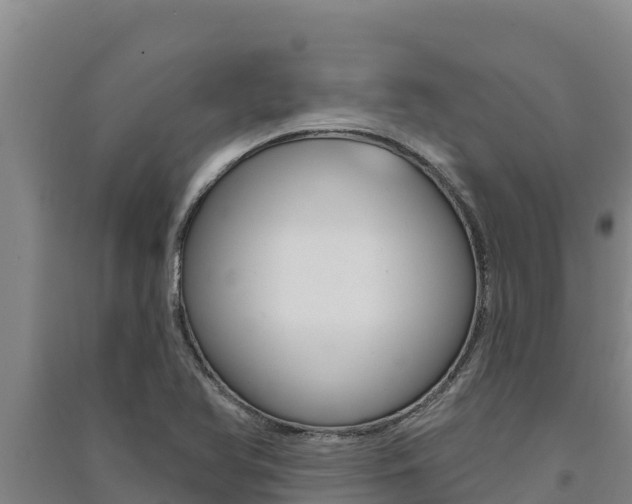 X0000091561366200708171052