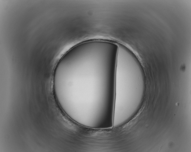 X0000091561367200708171052