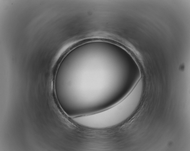 X0000091561368200708171052