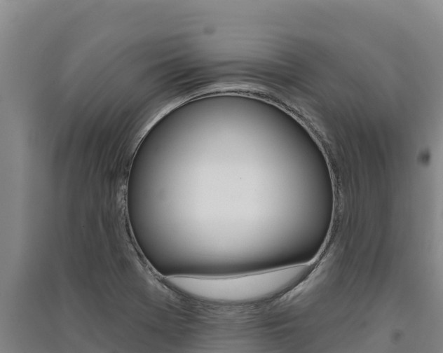 X0000091561369200708171052