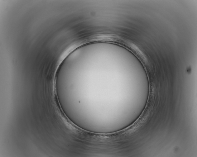 X0000091561370200708171052