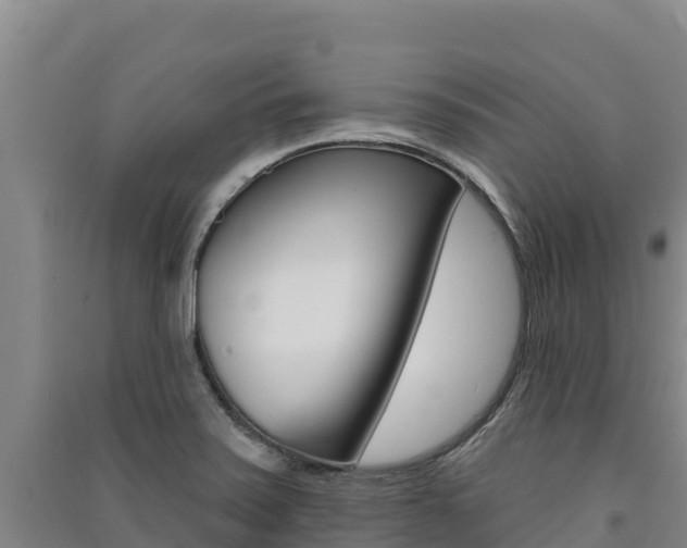 X0000091561371200708171052