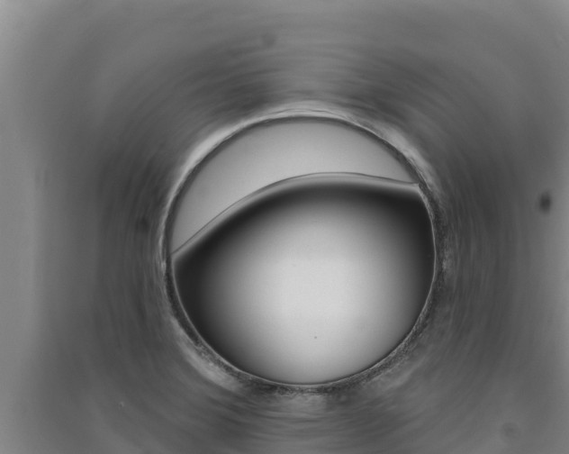 X0000091561372200708171052
