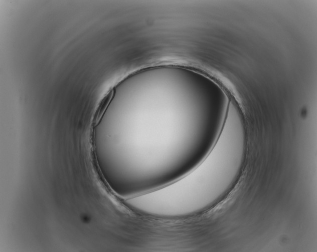 X0000091561373200708171052