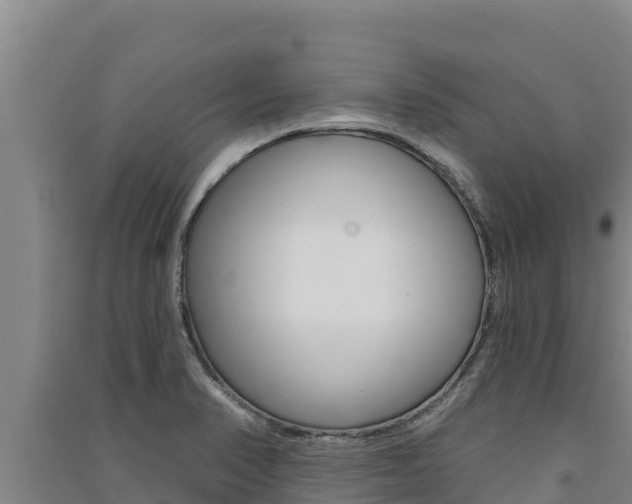 X0000091561374200708171052