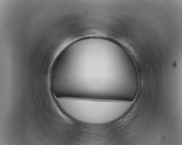 X0000091561375200708171052