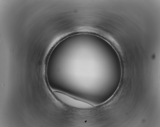 X0000091561376200708171052