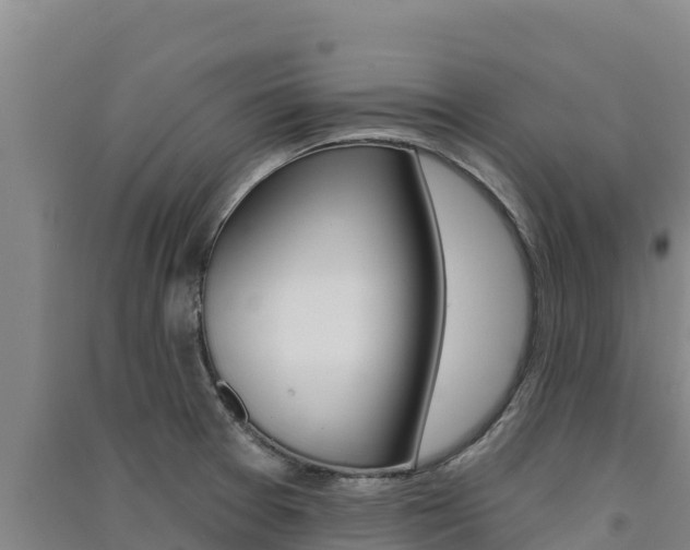 X0000091561377200708171052