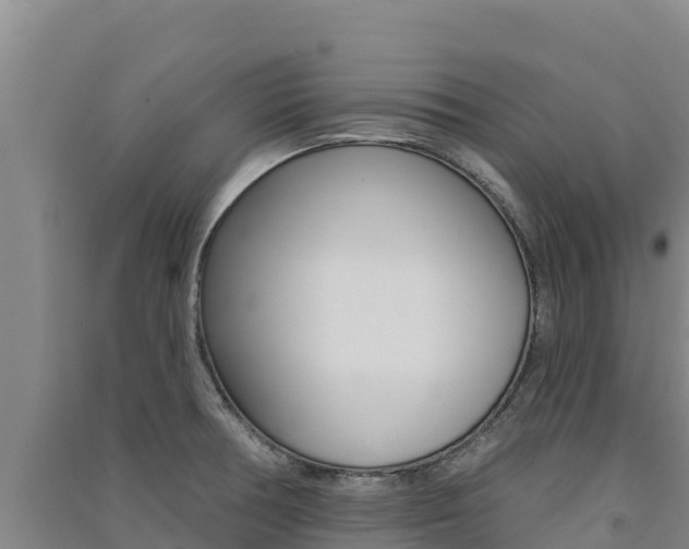 X0000091561378200708171052