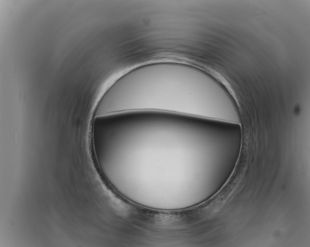 X0000091561379200708171052