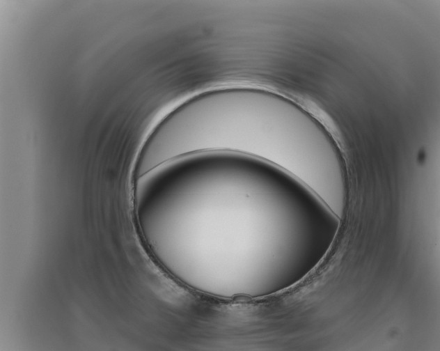 X0000091561380200708171052