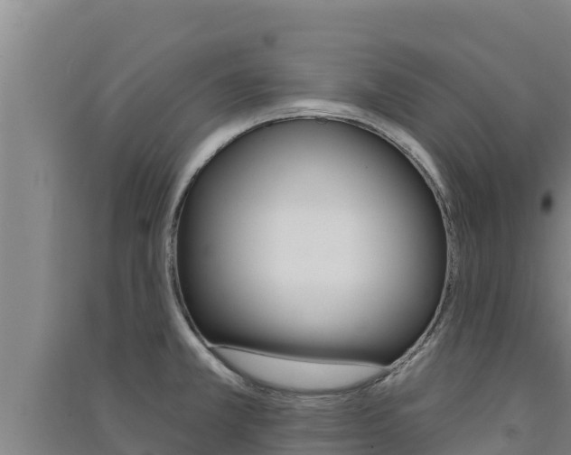 X0000091561381200708171052