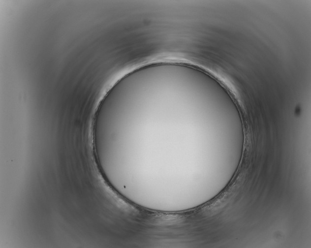 X0000091561382200708171052
