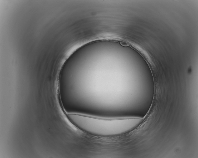 X0000091561383200708171052