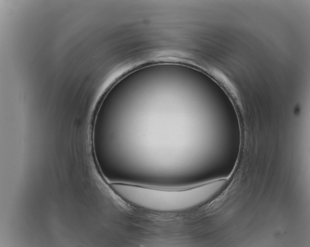 X0000091561384200708171052