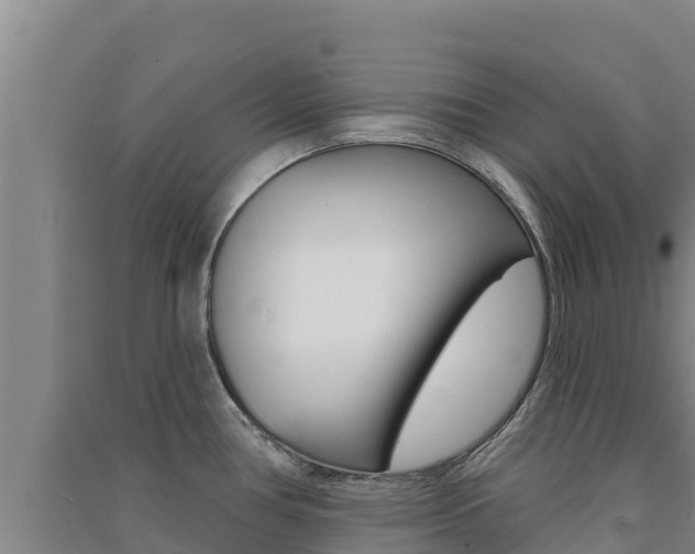 X0000091561386200708171052