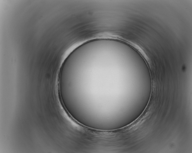 X0000091561387200708171052