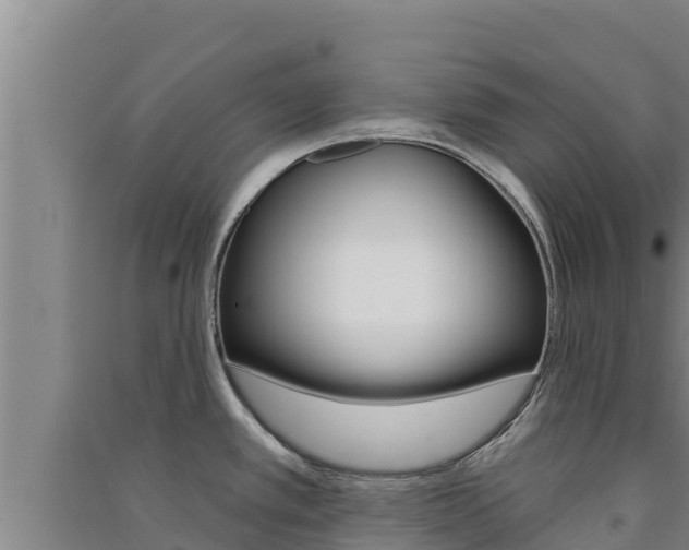 X0000091561389200708171052