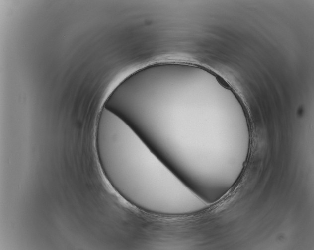 X0000091561390200708171052