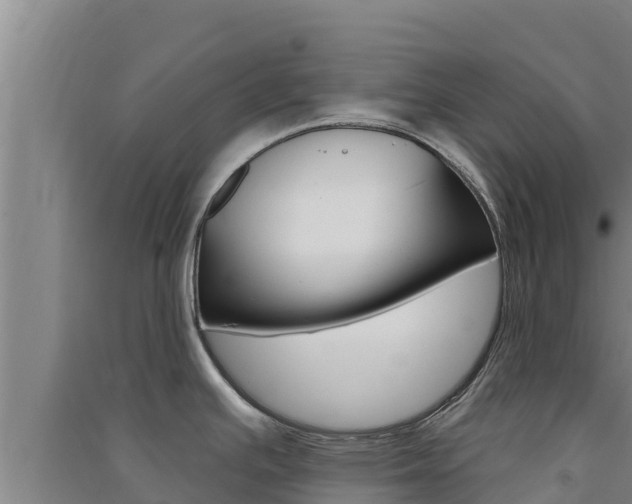 X0000091561391200708171052