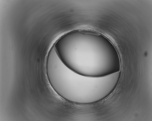 X0000091561392200708171052