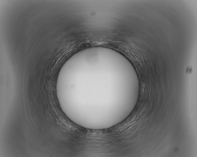 X0000091561393200708171051