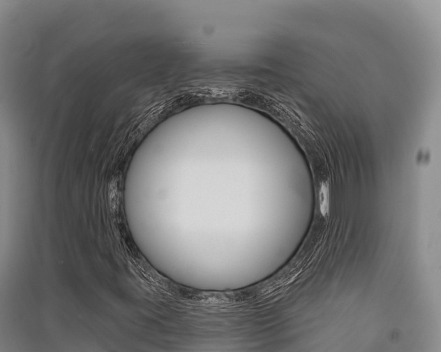 X0000091561395200708171051