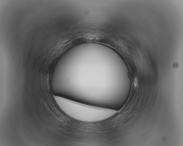 X0000091561396200708171051