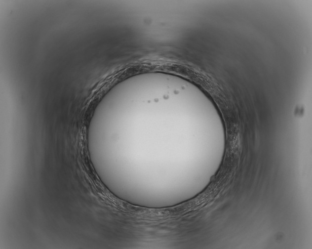X0000091561397200708171051