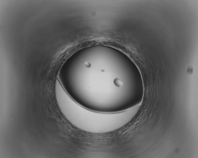 X0000091561398200708171051