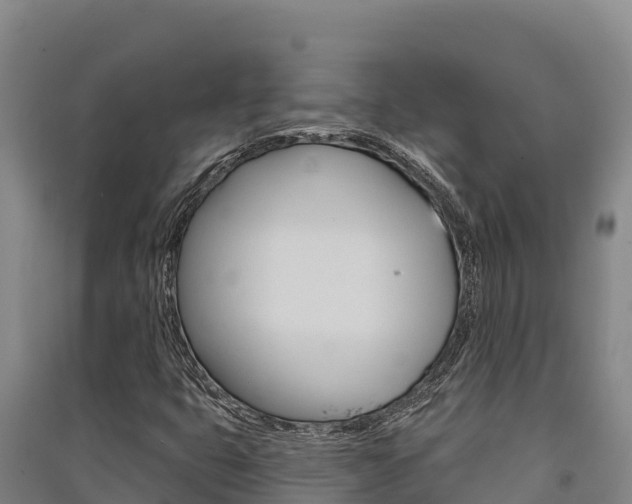 X0000091561399200708171051