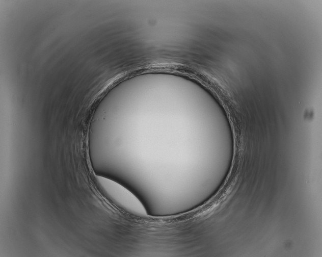 X0000091561401200708171051