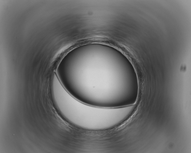 X0000091561402200708171051