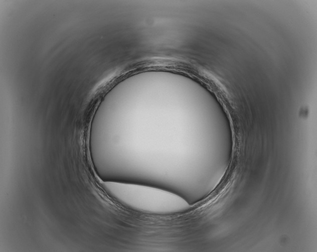 X0000091561403200708171052