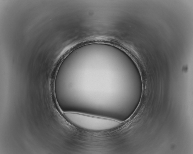 X0000091561404200708171052
