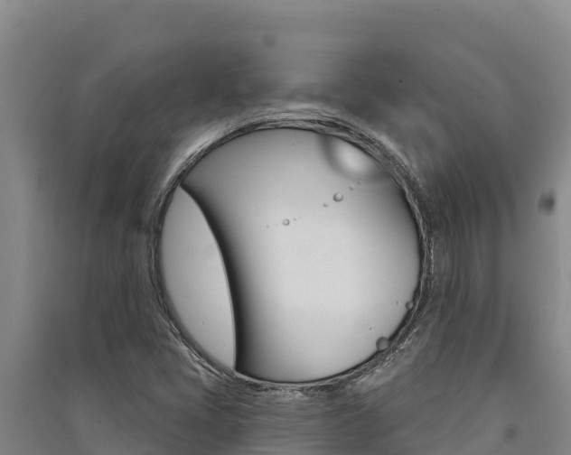 X0000091561405200708171052