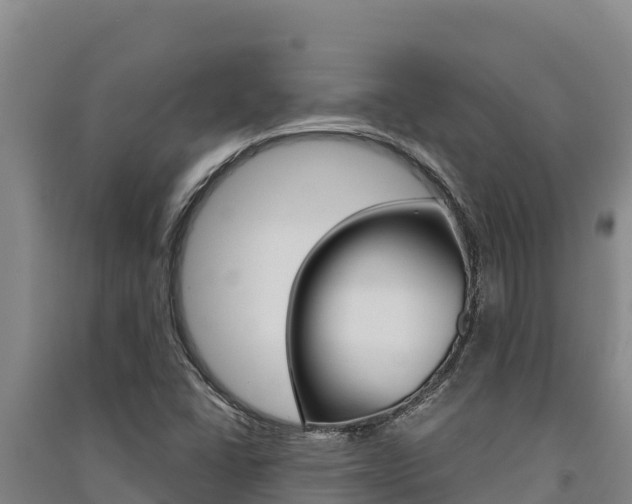 X0000091561406200708171052