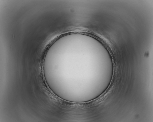 X0000091561407200708171052