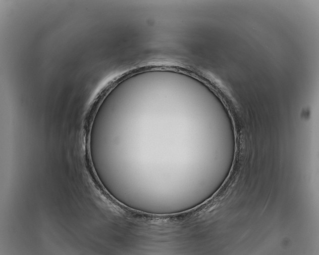 X0000091561408200708171052