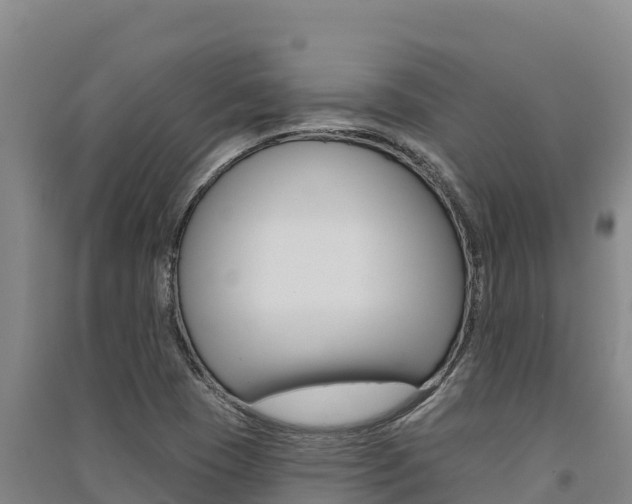 X0000091561409200708171052