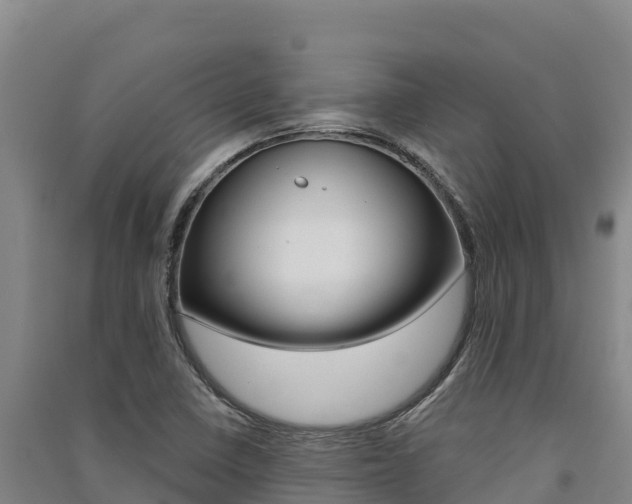 X0000091561410200708171052