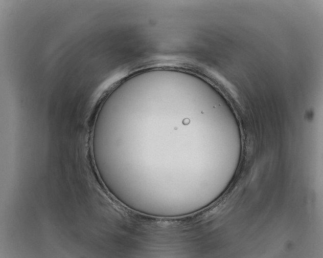 X0000091561411200708171052