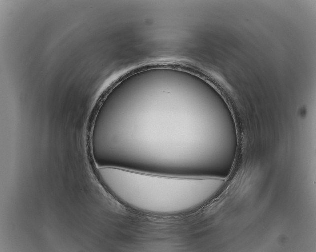 X0000091561412200708171052