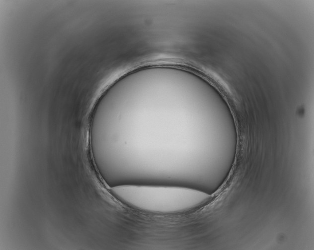 X0000091561413200708171052