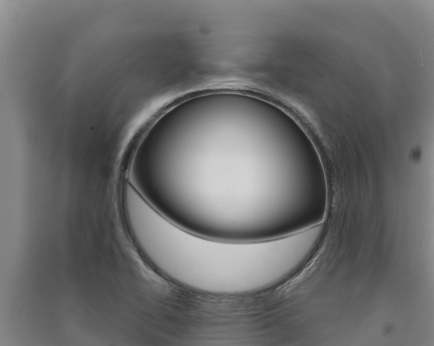 X0000091561414200708171052