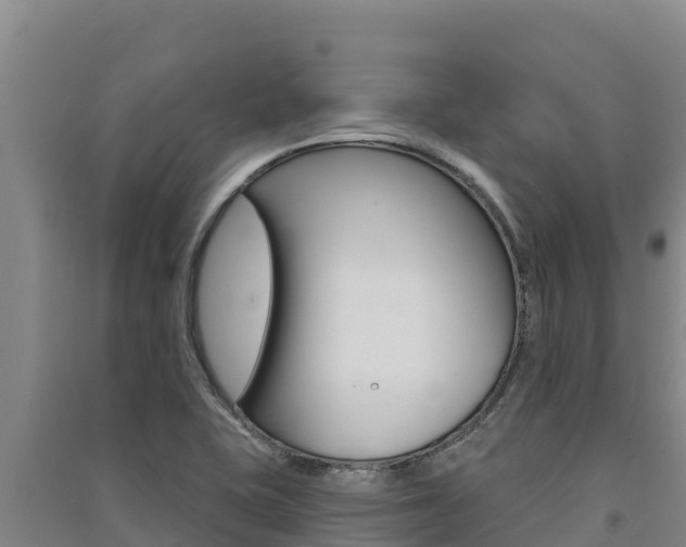 X0000091561415200708171052